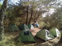 Reflections Camp - Campgrounds
