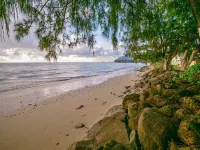 Magic North Shore Beach House 30 Day Rental - ヴィラ