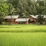 Ahsa Farmstay - con vista montagne