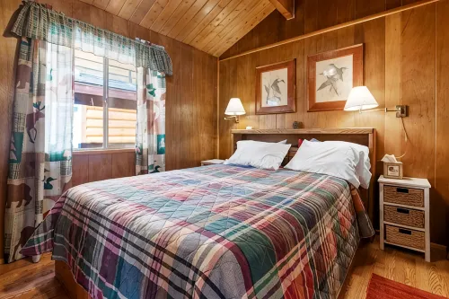 Sugar Pine - Pet friendly