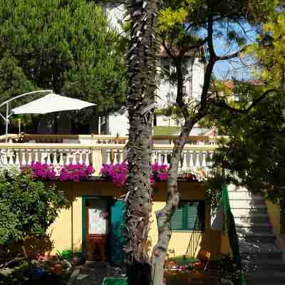 Hostel Pisa Tower Hotel Exterior