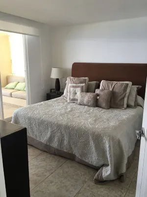 IXTAPA-MONARCA Relaxing BEACHFRONT CONDO with awesome view - Homestays