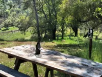 Papillon Cellars - the Loft Hotels in Mariposa