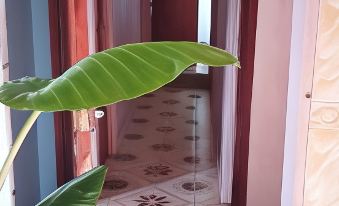 Royal Pine Cottages - Housity