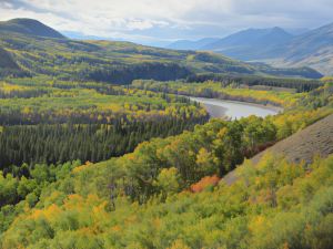 Stikine View Lodge