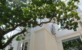 Le Petit Hanoi Hotel