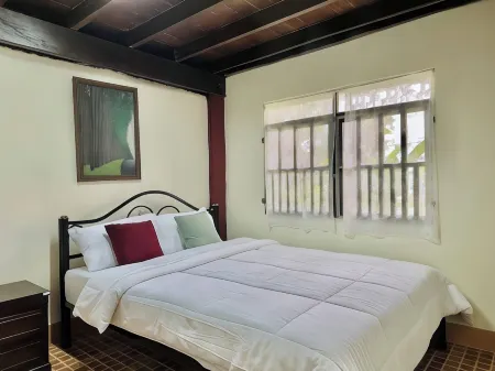 Cozy Nest CNX