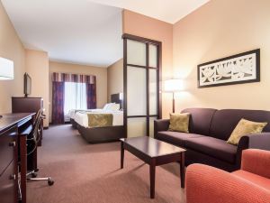 Comfort Suites Pecos