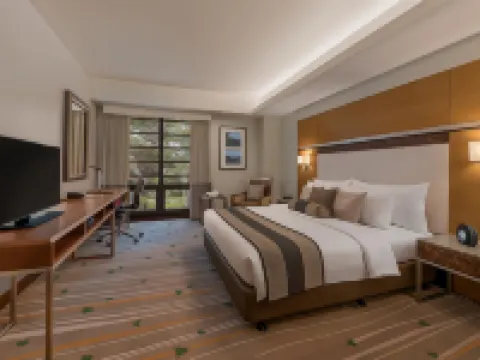 Best Western Plus The Ivywall Hotel - Palawan Hotels in Palawan