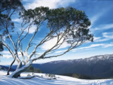 เมริเวล โมเต็ล