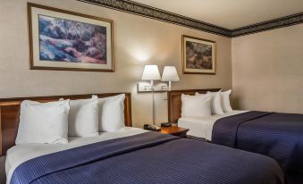 Econo Lodge Inn and Suites - Pilot Mountain