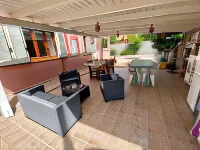 B&B Tigrillo