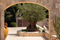 B&B Radici d'Olivo Hotels in Bisceglie