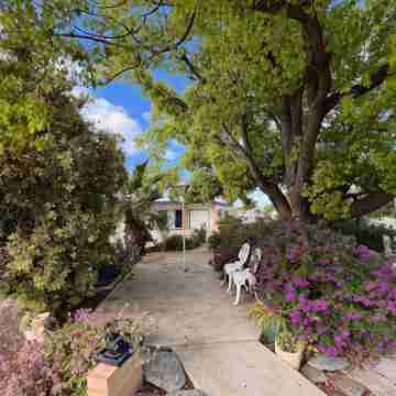 Sturt Motel Balranald Hotel Exterior