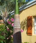 Atlantic Hideaway Hoteles en Delray Beach