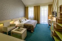Peras Wellness Hotel Hotels in Zlaté Hory