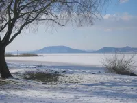Oak Residents Siófok