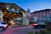 Great Wolf Lodge Grapevine Hotels in Grapevine