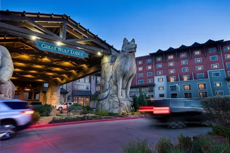 Great Wolf Lodge Grapevine Отели рядом с достопримечательностью «C Shane Wilbanks Trail»