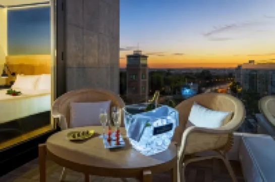 H10 Puerta de Alcalá