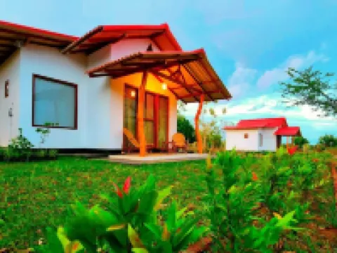 Wild Waves Kumana Safari & Surf Resort Hotel Hotels in Ampara
