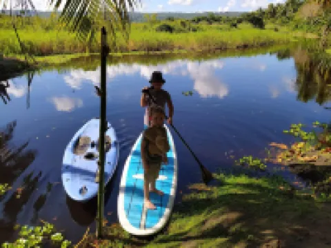 Method Living Tropical Edition 50024