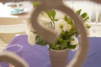 B & B Raffaello Hotels in Terzigno