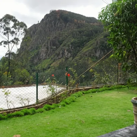 Tea Garden Holiday Inn