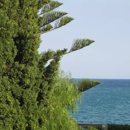 Villa Mora on Two Levels 50 Meters from the Sea - Wi-fi