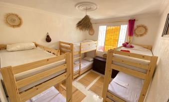 Red Carpet Surf Camp Surf , Work & Connect