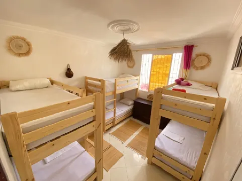 Red Carpet Surf Camp