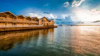 Best Western Plus Yacht Harbor Inn Hotels in Dunedin