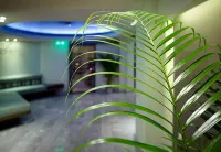 Lato Annex Boutique Rooms - parking