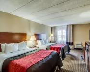 Comfort Inn & Suites Raphine - Lexington Near I-81 and I-64 Hotels in Rockbridge County