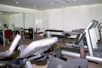 拉利特大皇宮斯里納格飯店 - 健身房