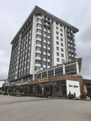 Nova Vista Deluxe & Suites Hotel Eskisehir, a Member of Radisson Individuals - Wi-Fi