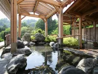Izumiya Hotels in Nagaoka