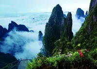shuisekezhang