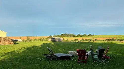 Spacious family-friendly rural apt with huge yard. 15 min between beaches & town - 2-Star