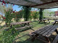 B&B Il Pettirosso di Siena - maisons de vacances