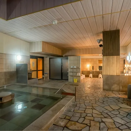 Hotel Royal Hill Fukuchiyama and Spa