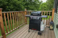 Hinesburg hideaway with hot tub! - Apartments