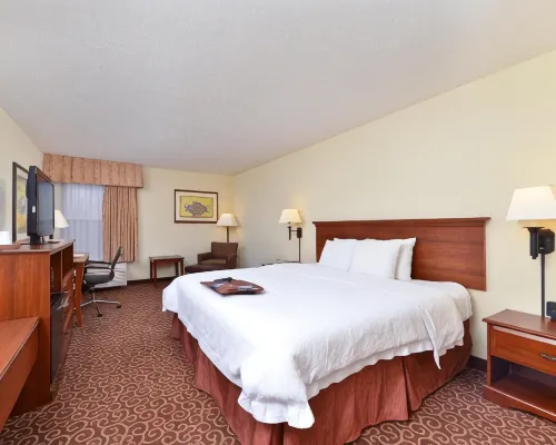 Hampton Inn Eagle Pass Hotels in Eagle Pass