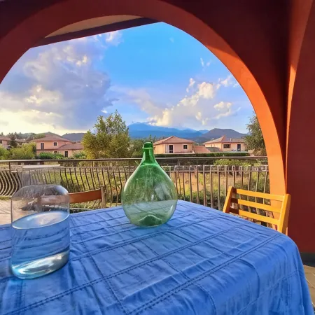 The Little Vineyard