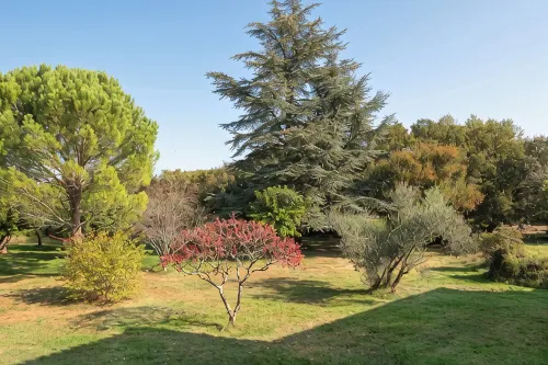 Large Authentic House with Swimming Pool and Tennis Court, Ideal for Families and Friends - Farmhouses