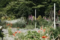 Garden Salt Geoje Island