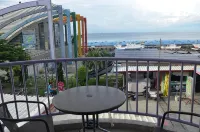 Green Sea Turtle Diving B&B