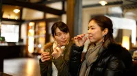 Hida Takayama Onsen Takayama Green Hotel (KEIO GROUP HOTELS) - 5-Star