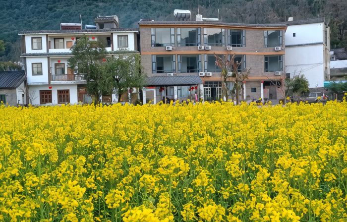 Yiquanyuan Hotel