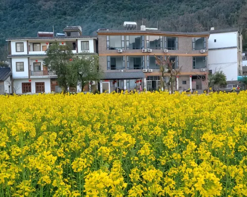 Yiquanyuan Hotel Hotels in Luoping